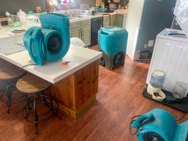 Best Residential water damage restoration  in Freer, TX