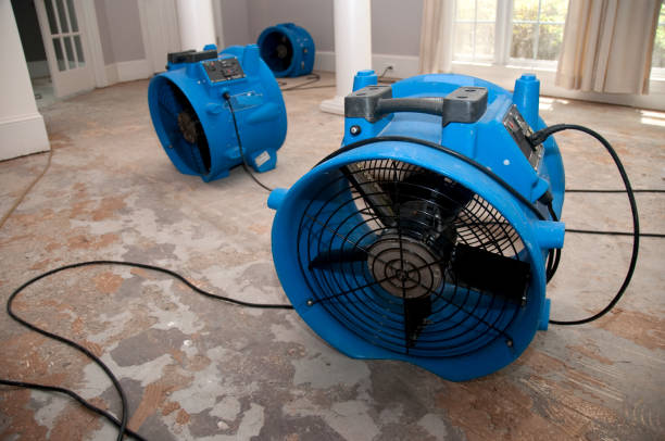 Best Water damage cleanup near me  in Freer, TX