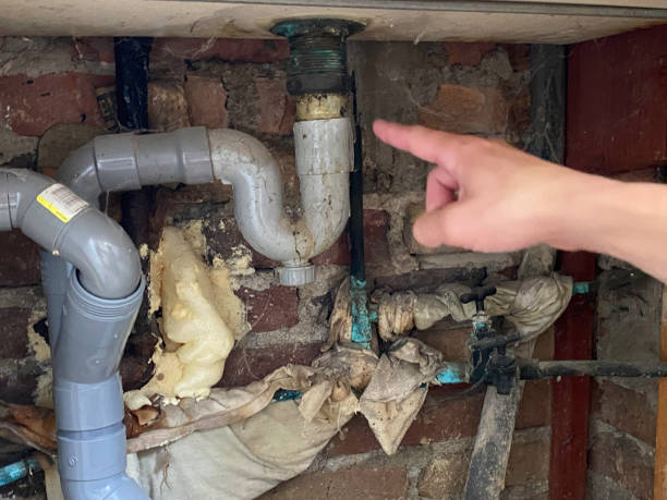 Best 24/7 water damage repair  in Freer, TX