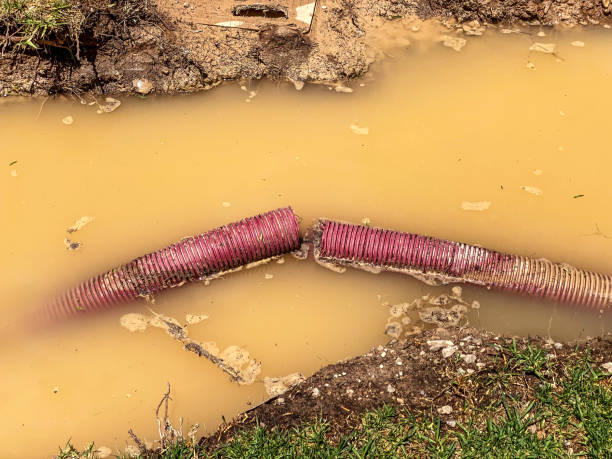 Professional Water damage restoration in Freer, TX